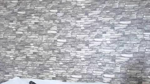 Snapshot of tokyosky chatting on February 2, 6:06 pm Tokyo online show from February 2, 6:06 pm