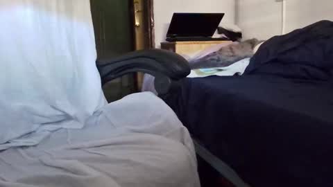 tolon408472 online show from November 4, 2:38 pm