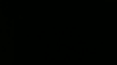 Snapshot of tomandjudy chatting on November 16, 9:20 pm Bear and Chaw online show from November 16, 9:20 pm