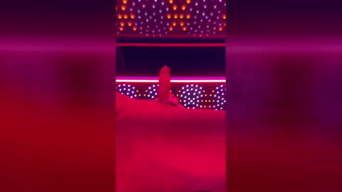 tomandnika online show from April 11, 9:02 am