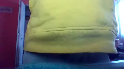 tomcat4848 online show from February 15, 7:06 pm