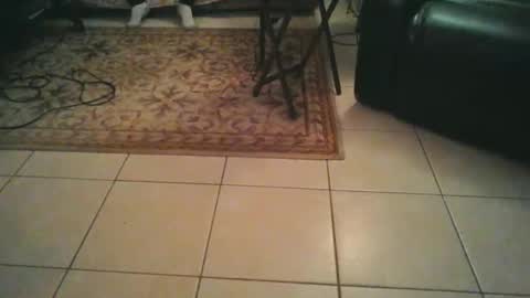 sirmuggsalot online show from March 20, 7:02 am