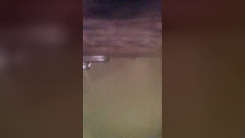 tomcop11111 online show from March 29, 9:20 am