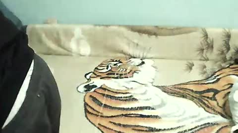 Snapshot of tomekpl30show chatting on December 31, 5:18 pm Tomek online show from December 31, 5:18 pm