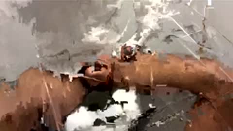 Dr. Dick online show from November 24, 3:45 pm