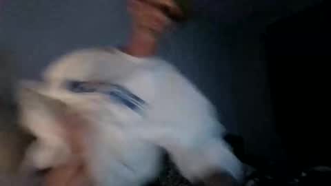 Snapshot of tommybigc9ck chatting on November 16, 7:25 am tommybigc9ck online show from November 16, 7:25 am