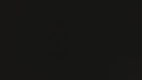 tomylela online show from December 1, 7:46 am