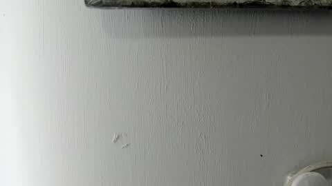 lady blue online show from January 6, 5:38 pm