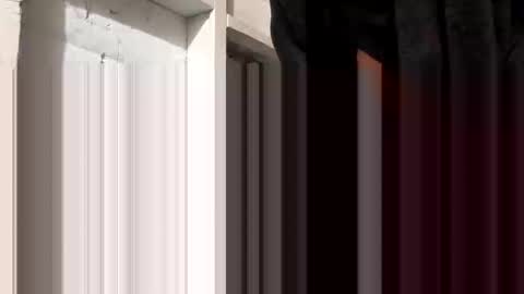 tonguefuckingyourass online show from October 30, 9:44 am