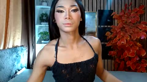 toptrans venice online show from February 22, 3:07 am