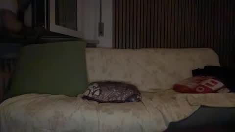 torofermo705033 online show from January 10, 2:35 am