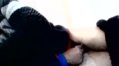 Snapshot of torresurionasantos chatting on February 2, 5:22 pm torresurionasantos online show from February 2, 5:22 pm