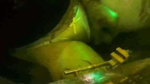 tosexyforjustus online show from March 15, 8:59 pm