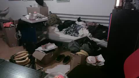 Totox online show from December 29, 7:43 pm