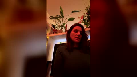 GoToyShop online show from February 19, 10:06 pm