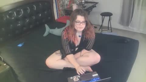 Snapshot of tranicpixiedreamgrl chatting on November 25, 2:00 am tranicpixiedreamgrl online show from November 25, 2:00 am