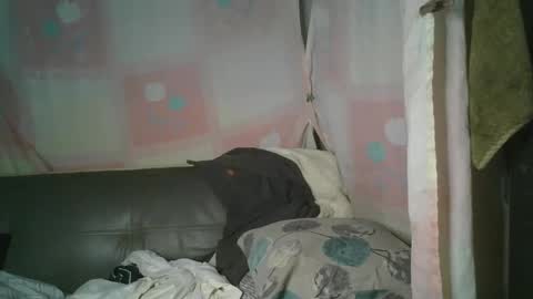 transhottie28 online show from March 3, 1:20 pm