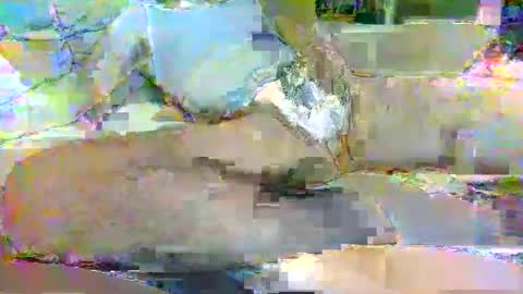 Snapshot of tree33007 chatting on November 3, 6:25 am tree33007 online show from November 3, 6:25 am