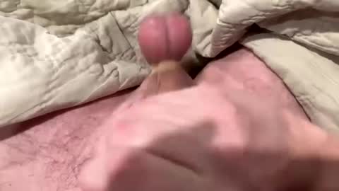 tree553 online show from January 13, 1:56 am