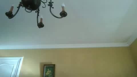 trekbeestje online show from April 8, 7:52 am