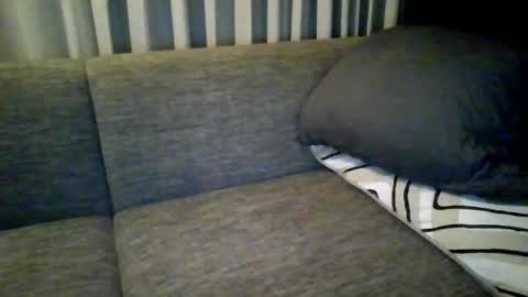 triciawu22 online show from December 8, 1:36 pm