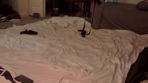 Snapshot of trickquestion chatting on February 23, 8:49 am trickquestion online show from February 23, 8:49 am