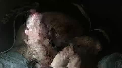 triponsex online show from March 24, 9:42 pm