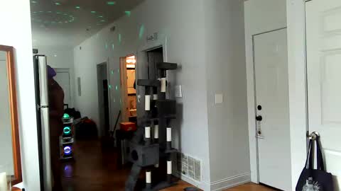 Amber White online show from February 2, 7:46 pm