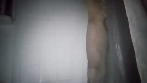 ttimmyt online show from November 11, 8:03 am