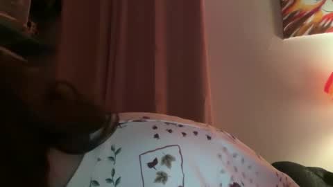 Tulip online show from February 2, 4:00 am