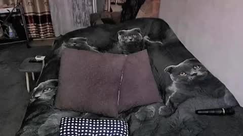 Lana online show from October 23, 11:35 pm