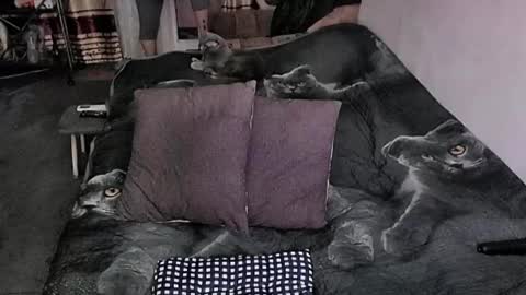 Lana online show from March 30, 12:11 am