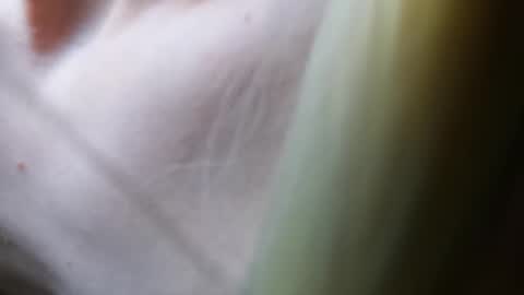 Vicky  Victor online show from March 7, 4:44 pm