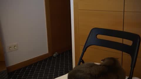 Snapshot of twinksweetlovehot chatting on December 5, 5:06 pm twinksweetlovehot online show from December 5, 5:06 pm