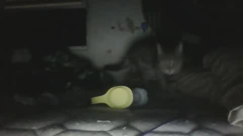 twonkydonk27 online show from December 13, 10:15 pm