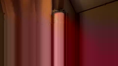 Snapshot of twosmallholes42 chatting on March 1, 4:03 am twosmallholes42 online show from March 1, 4:03 am