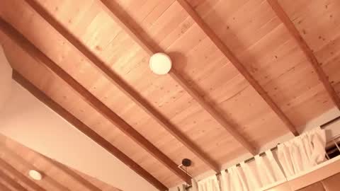 Twiggy online show from February 27, 11:37 pm