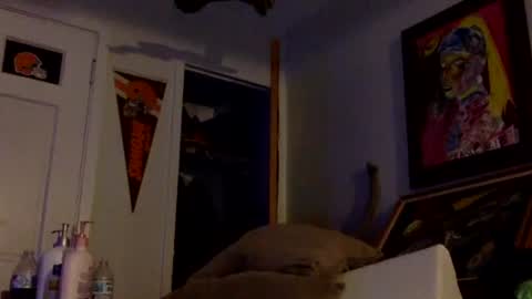 Snapshot of tylerdurden256 chatting on February 7, 3:01 am Tyler Durden online show from February 7, 3:01 am