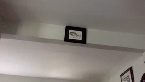 Snapshot of tylerdurden256 chatting on February 8, 6:12 pm Tyler Durden online show from February 8, 6:12 pm