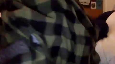 Snapshot of tylerdurden256 chatting on February 15, 1:38 pm Tyler Durden online show from February 15, 1:38 pm