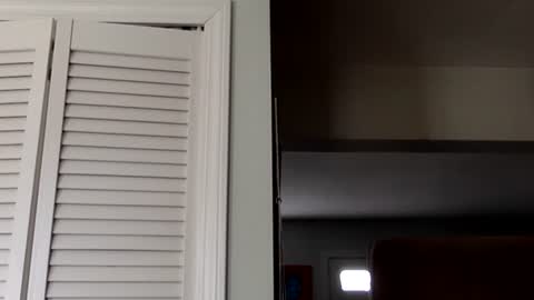 Snapshot of tylerdurden256 chatting on March 2, 7:45 pm Tyler Durden online show from March 2, 7:45 pm