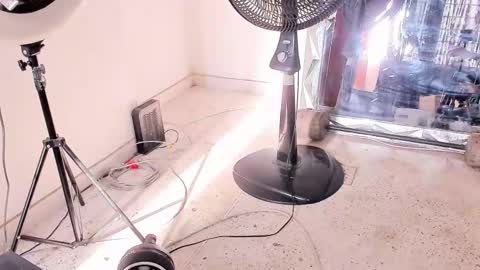 Dvid Rullers online show from December 14, 12:54 pm