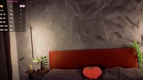 Polly online show from November 27, 3:25 pm