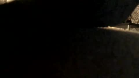 Snapshot of ukcock699196923 chatting on November 2, 5:04 pm ukcock699196923 online show from November 2, 5:04 pm