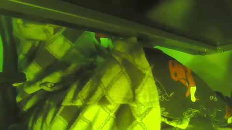 Snapshot of uncleremusway chatting on January 16, 5:11 am uncleremusway online show from January 16, 5:11 am