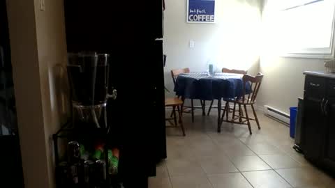 Buzz Bigcock online show from February 23, 8:28 pm