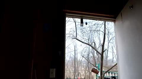 upforanything27 online show from December 25, 6:41 pm