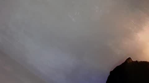 Lola online show from January 22, 1:42 pm