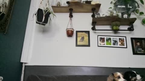 Snapshot of urdreamswonder chatting on February 8, 3:43 am MYMY online show from February 8, 3:43 am