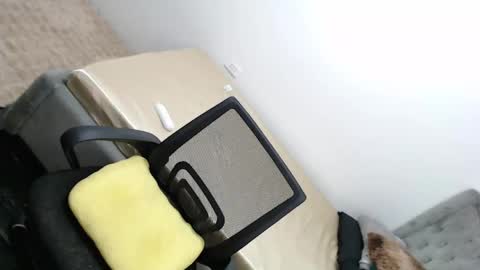 Amira online show from February 26, 3:32 am